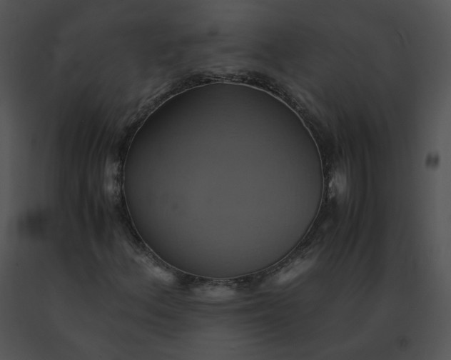 X0000091541156200708311325