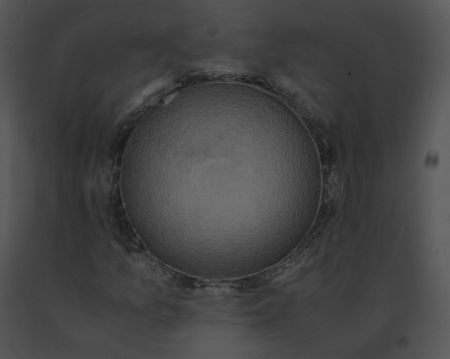 X0000091541157200708311325
