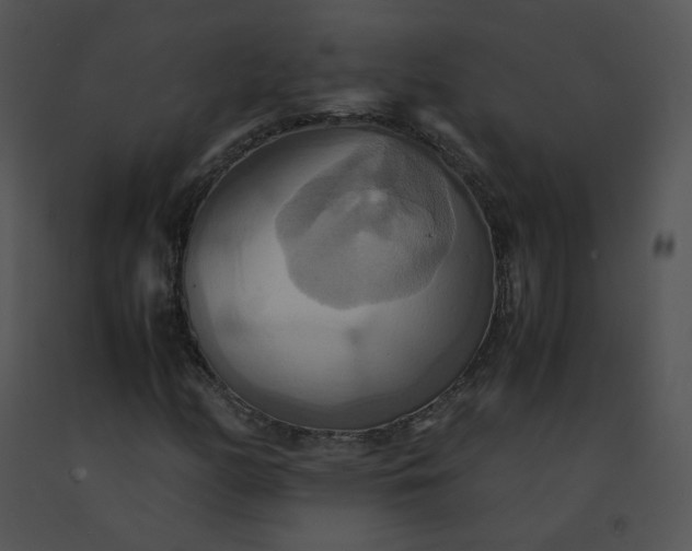 X0000091541158200708311325