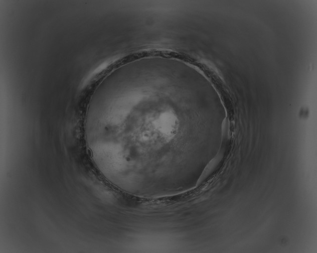 X0000091541159200708311325