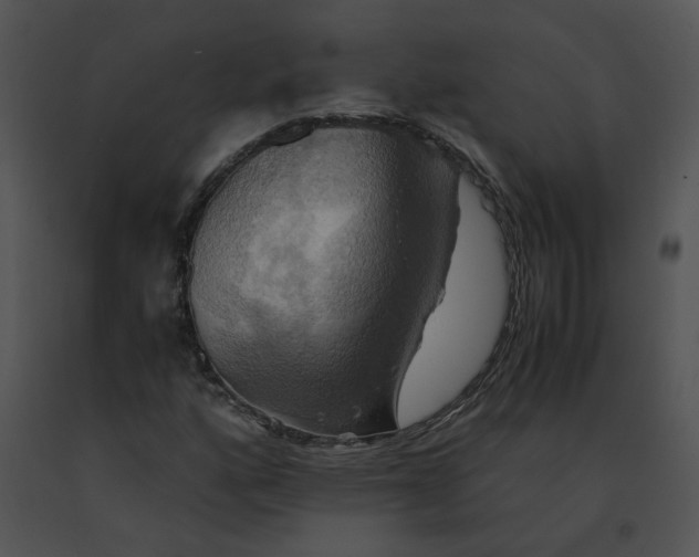 X0000091541160200708311325