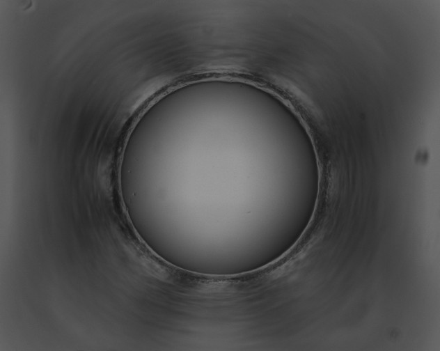 X0000091541162200708311325