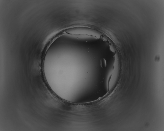 X0000091541164200708311325