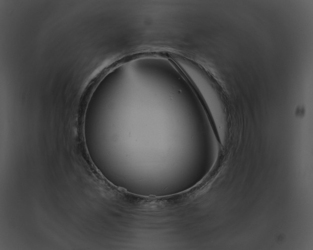 X0000091541165200708311325