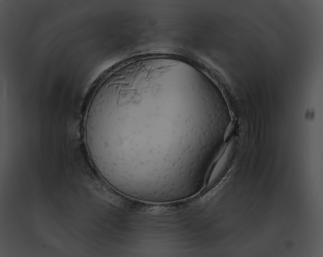 X0000091541166200708311325