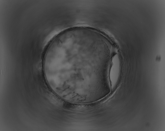 X0000091541167200708311325
