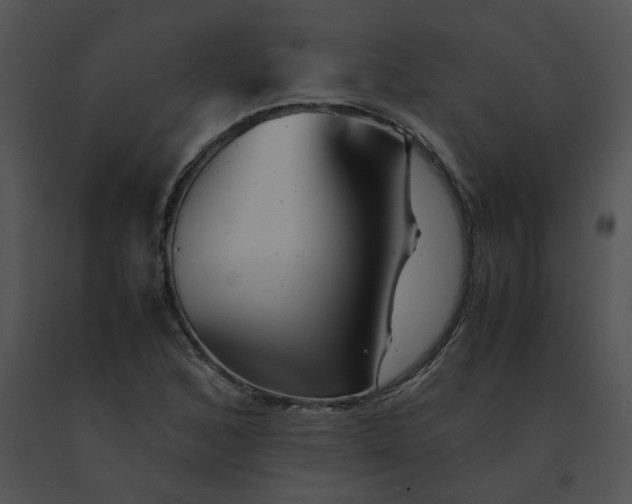 X0000091541168200708311325