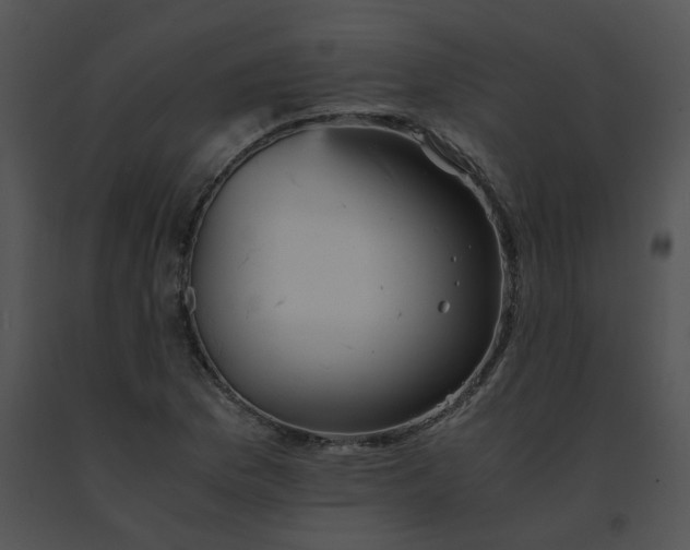 X0000091541169200708311325