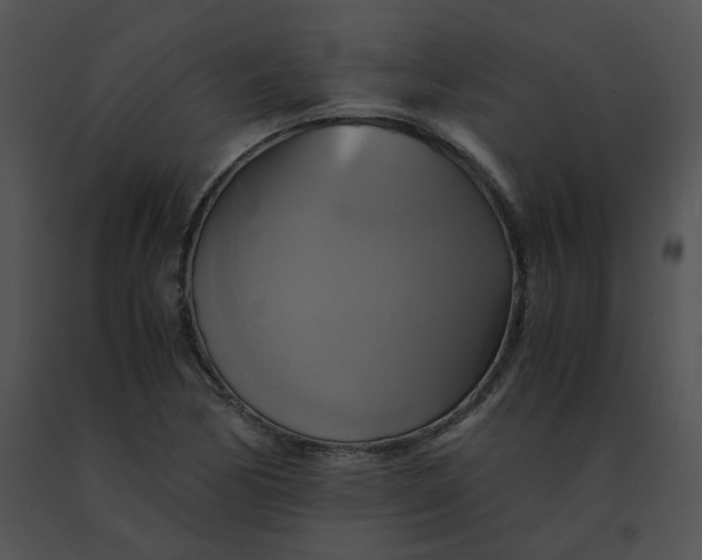 X0000091541170200708311325