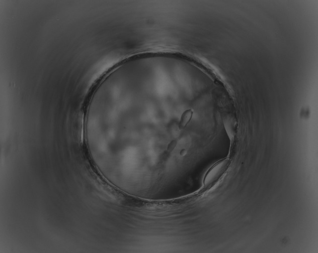 X0000091541171200708311325