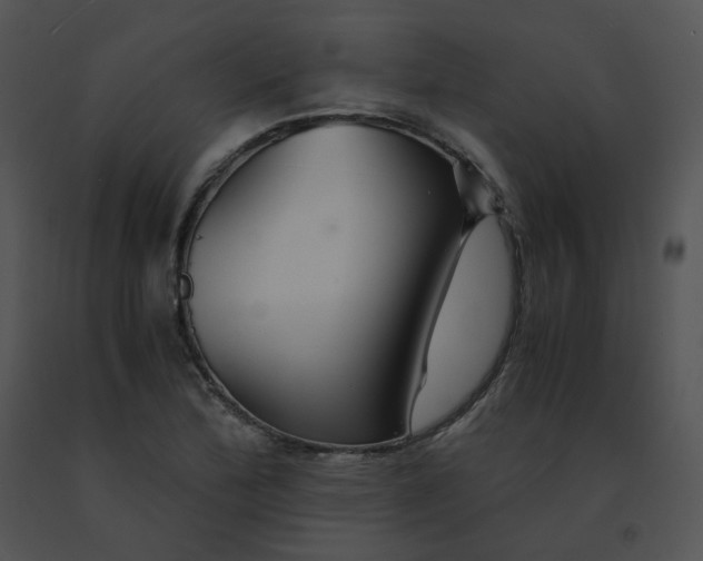 X0000091541172200708311325