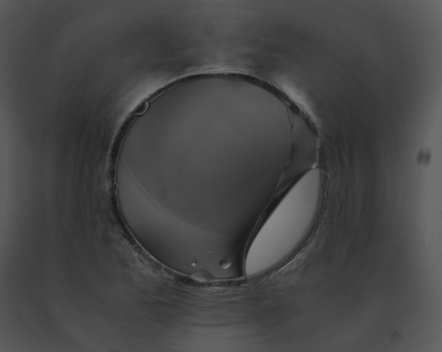 X0000091541173200708311325