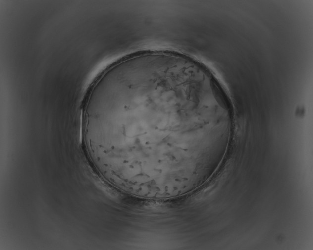 X0000091541175200708311325