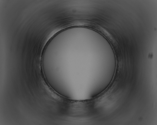 X0000091541178200708311325