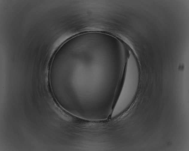 X0000091541179200708311325