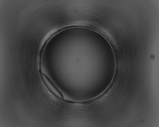 X0000091541180200708311325