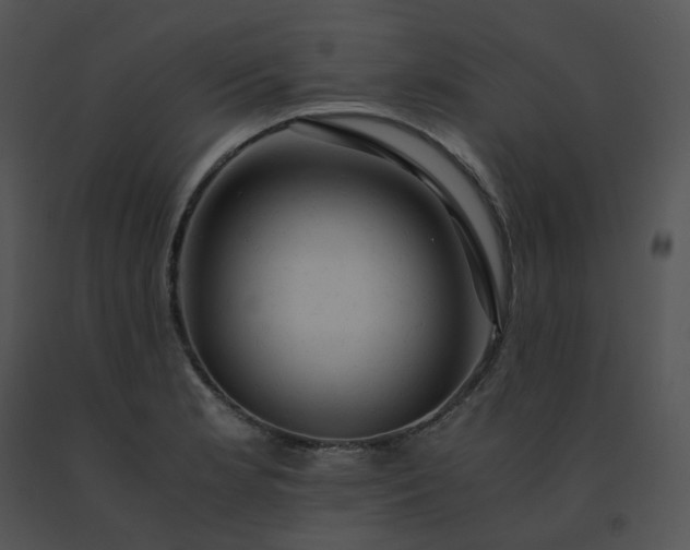 X0000091541181200708311325