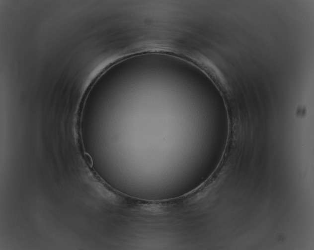 X0000091541182200708311325