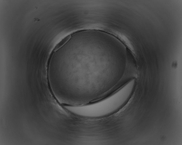 X0000091541184200708311325