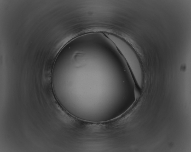 X0000091541185200708311325