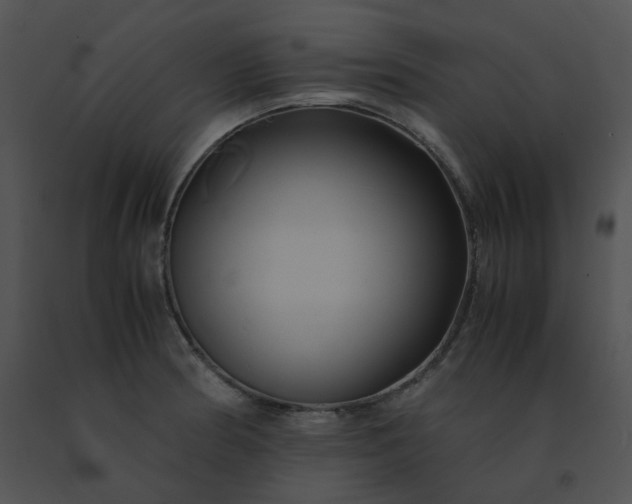 X0000091541186200708311325