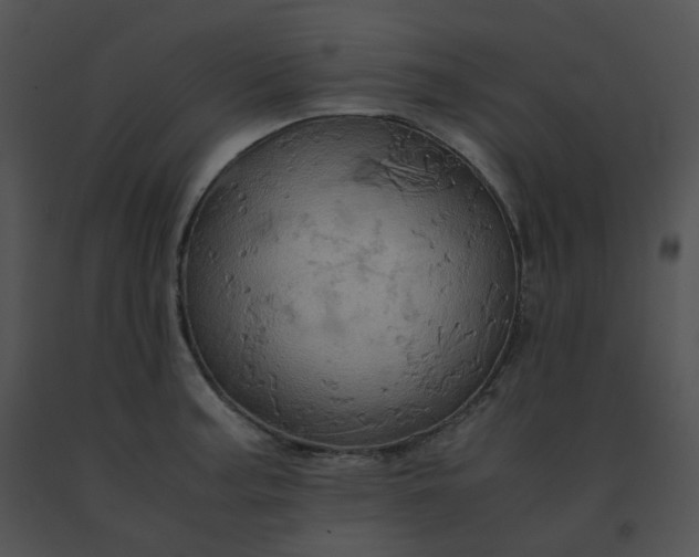 X0000091541187200708311325