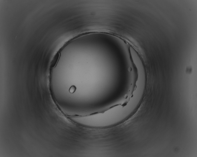 X0000091541188200708311325