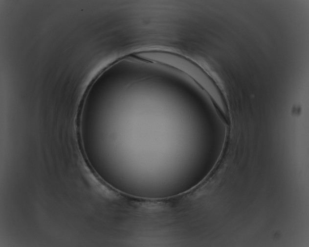 X0000091541189200708311325
