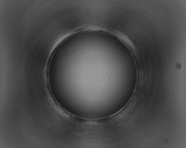 X0000091541190200708311325