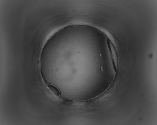 X0000091541191200708311325
