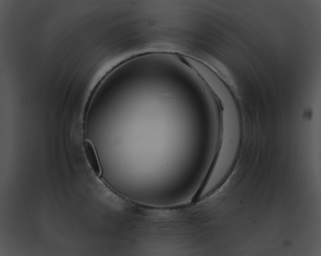 X0000091541192200708311325