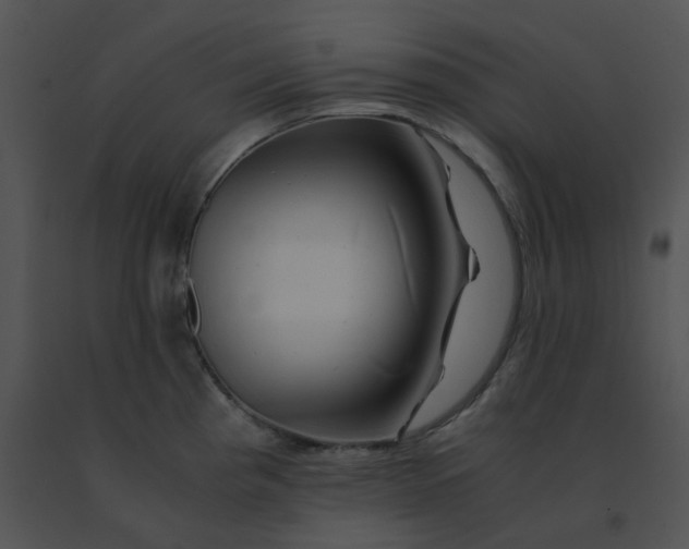 X0000091541193200708311325