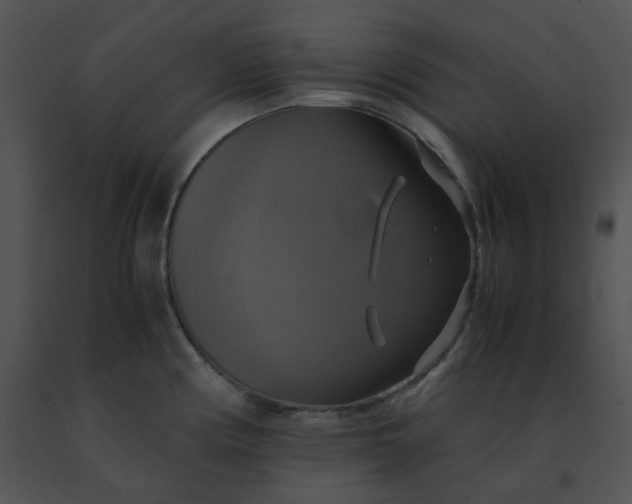 X0000091541194200708311325