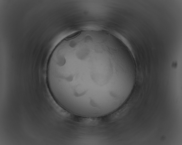 X0000091541195200708311325