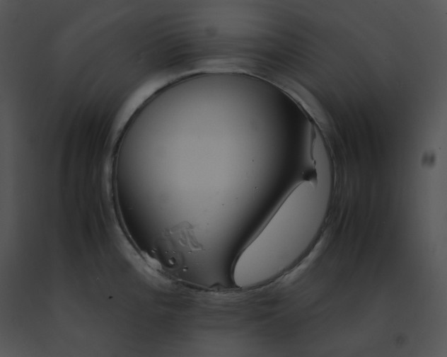 X0000091541196200708311325