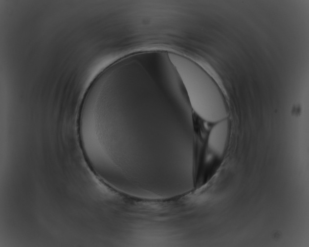 X0000091541197200708311325