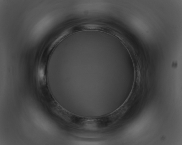 X0000091541198200708311325