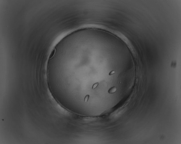 X0000091541199200708311325