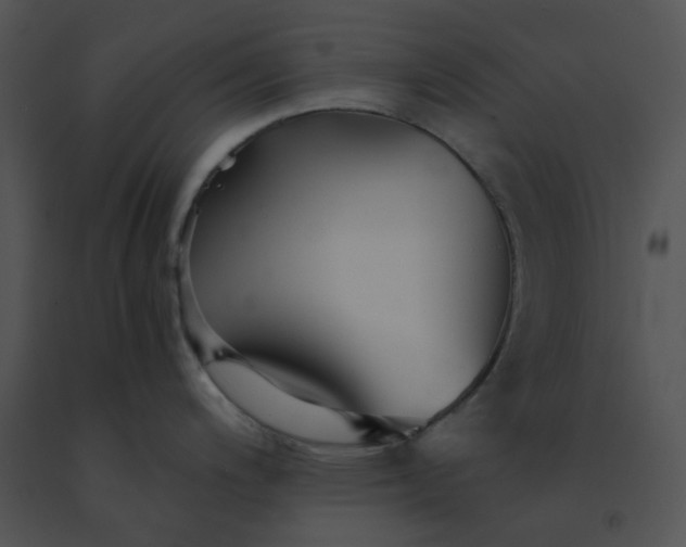 X0000091541200200708311325