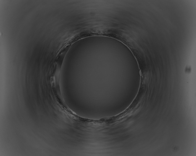 X0000091541202200708311324