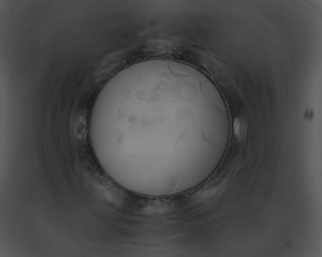 X0000091541203200708311324