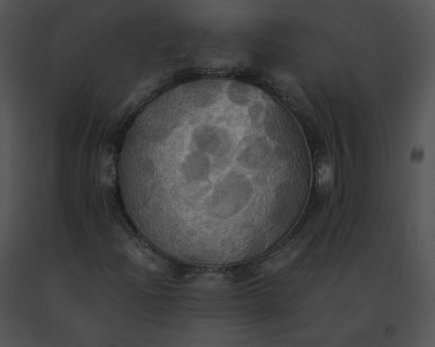 X0000091541204200708311324