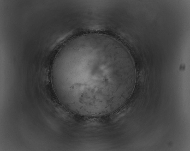 X0000091541205200708311324