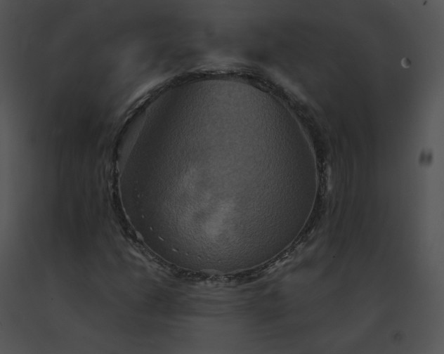 X0000091541206200708311324
