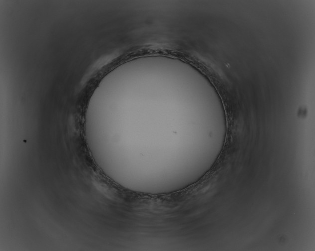 X0000091541207200708311324