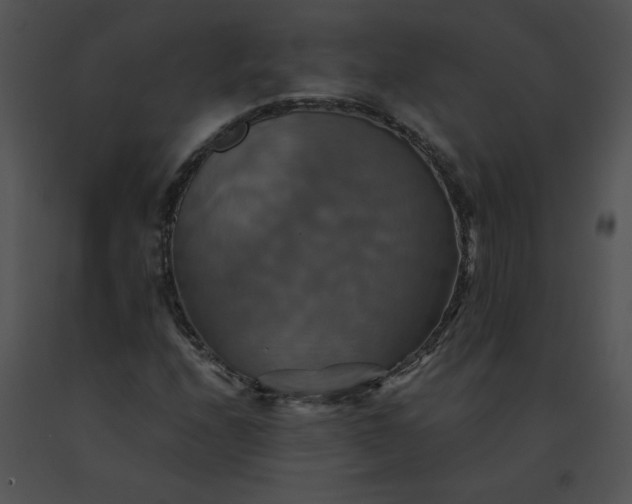 X0000091541208200708311324