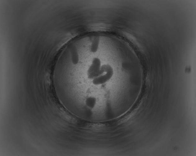 X0000091541209200708311324