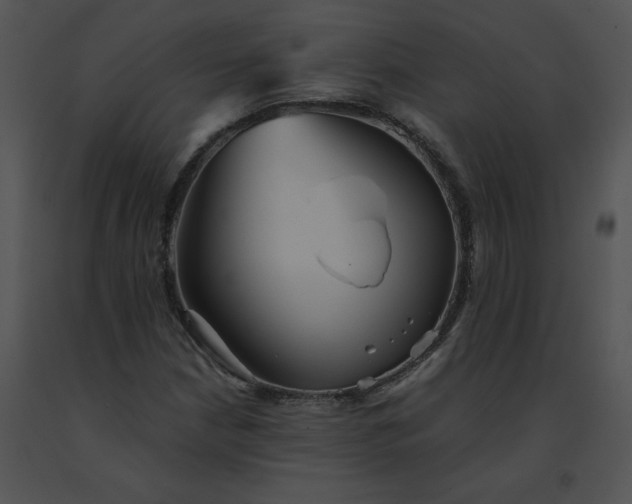 X0000091541210200708311324