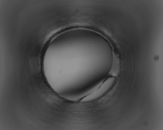 X0000091541214200708311324