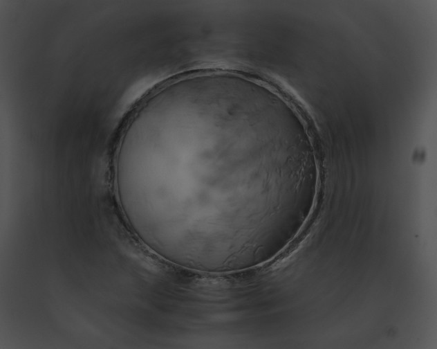 X0000091541215200708311324